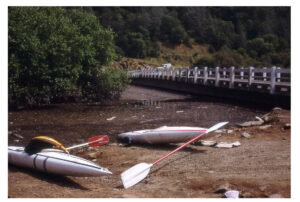 Kayaks by a flooding river