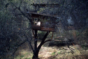 Gar's treehouse