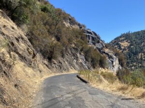 Along Camp Nine Road