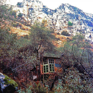 The tree house